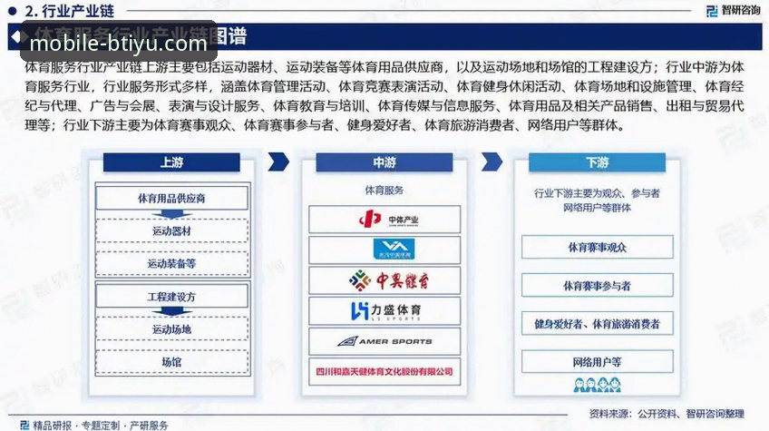 B体育手机版iOS版行业趋势深度分析：移动体育平台的用户体验革新与竞品对比解析