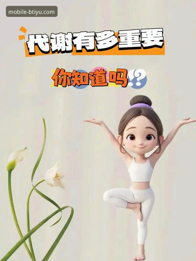 B体育手机平台使用指南：从下载到体验的完整解析
